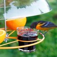 thumbnail image 1 of Bird Feeders Protective Cover, Decorative Large Diameter Clear Bird Feeder Protective Dome Cover With Hook For Bird Feeders, 1 of 8