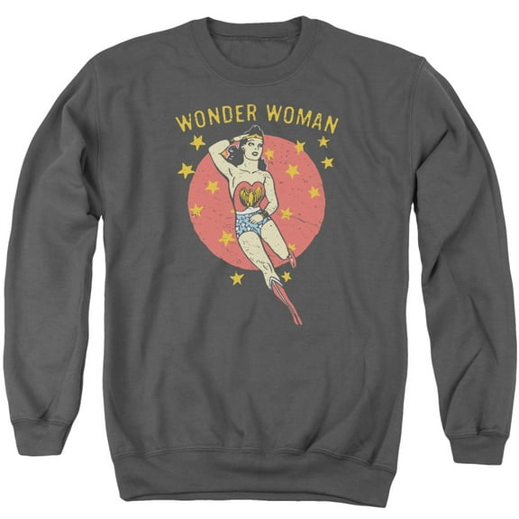 DC Comics Wonder Circle Adult Crewneck Sweatshirt Charcoal