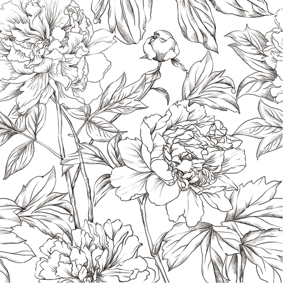 Xiayi Black and White Floral Wallpaper 17.3" x 472.44" Peonies Removable Peel and Stick Flower Wall Paper Sketched Floral Self-Adhesive Prepasted Wallpaper Wall Decor