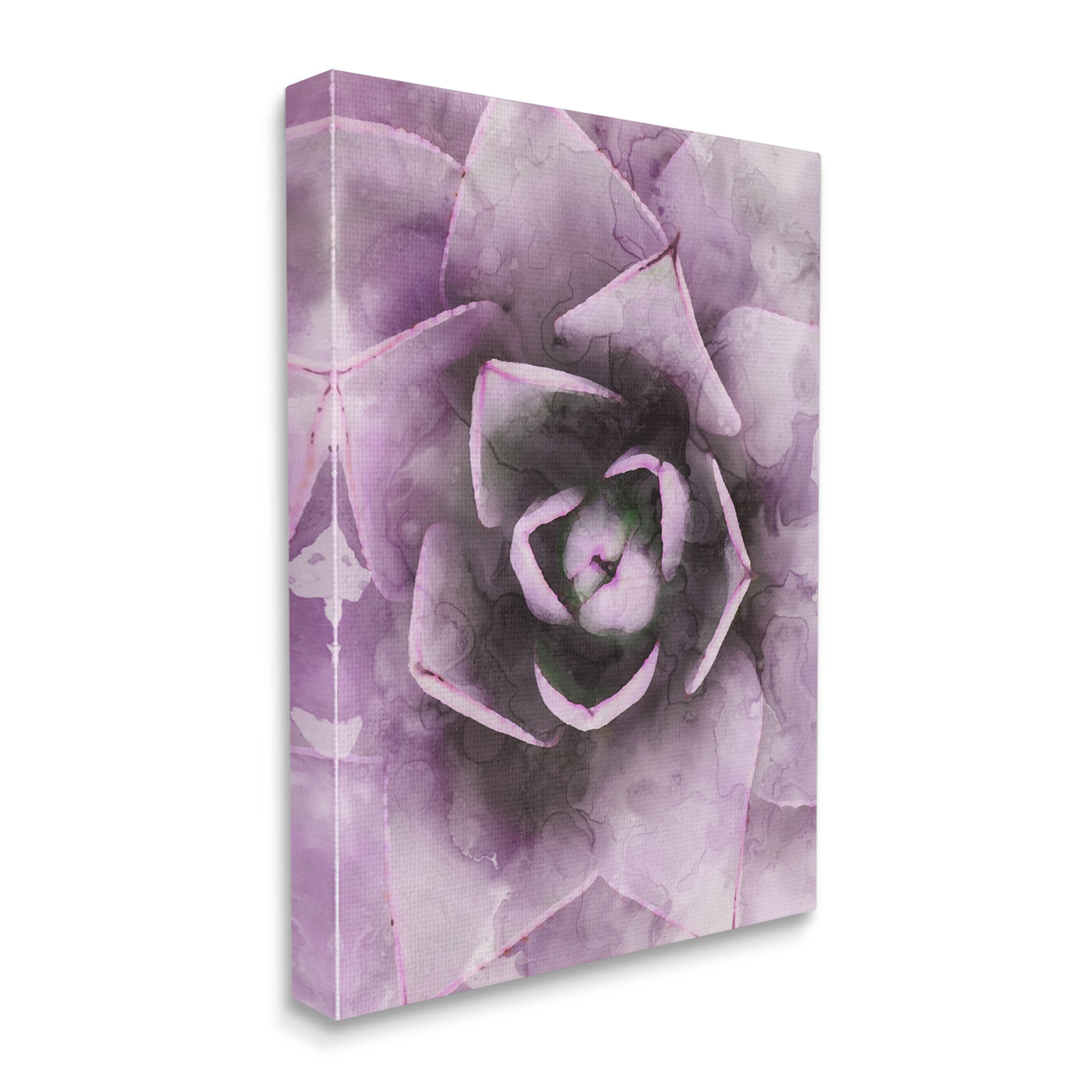Modern Purple Succulent Leaves Botanical & Floral Graphic Art Gallery Wrapped Canvas Print Wall Art