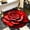 P, variant on 24x24 Inch Water Absorbent 3D Visual Entry Rug Non-Slip Bathroom Floor Mat Wear-Resistant Carpet for Mudroom Entryway Garage Living Spaces