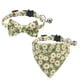 thumbnail image 1 of Paquete de 2 collares separables con diseño de gato, pajarita, collar de color floral con margaritas, 1 of 5
