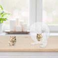 thumbnail image 4 of unbranded 1Ud De Actividad Transparente Para Hamster Silenciosa Para Pequeños, 4 of 6