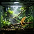 thumbnail image 5 of Reptile Climbing Loops,Eight Rings Snake Climbing Rings for Ball Python | Terrarium Habitat Decor | Snakes Tank Accessories for Climb Toys, 5 of 6