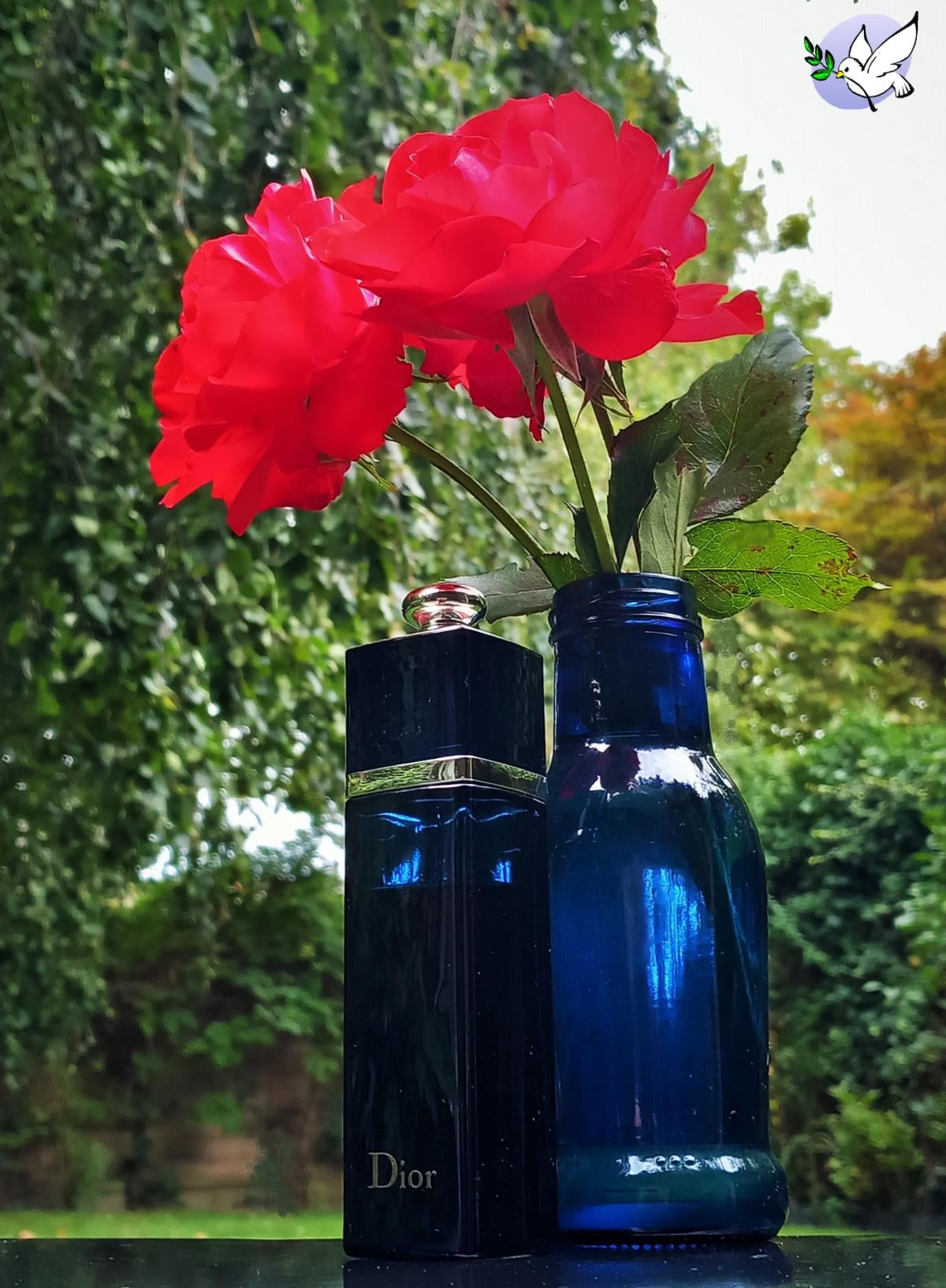 256047 Dior Addict By Christian Dior Eau De Parfum Spray 1.7