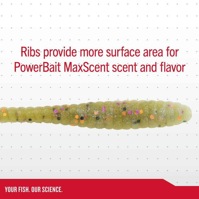 Berkley PowerBait MaxScent Flatworm, 4.25 in., Natural Shad