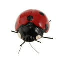 thumbnail image 2 of 5 Pcs Modèle d'Insecte Artificiel Simulation Jouets Éducatifs pour Enfants Coccinelle, 2 of 9