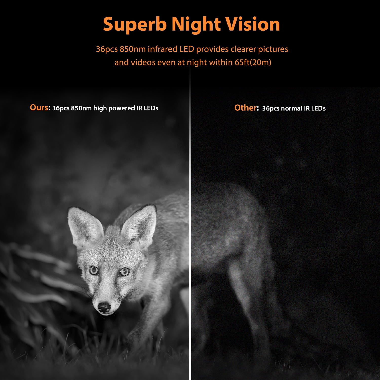 CAMPARK Solar Powered Trail Camera 46MP 4K 30fps WiFi Bluetooth Deer Game Camera with Loop Recording 0.1s Trigger Night Vision Waterproof IP66 Hunting Trail Cam for Wildlife Trace