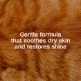 thumbnail image 3 of Adams Plus with Botanicals Shampoo for Cats & Kittens, 12 fl oz, 3 of 10