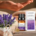 thumbnail image 3 of 10ml Essential Oils for Aroma Diffuser Air Humidifier Home Water-soluble a a, 3 of 8