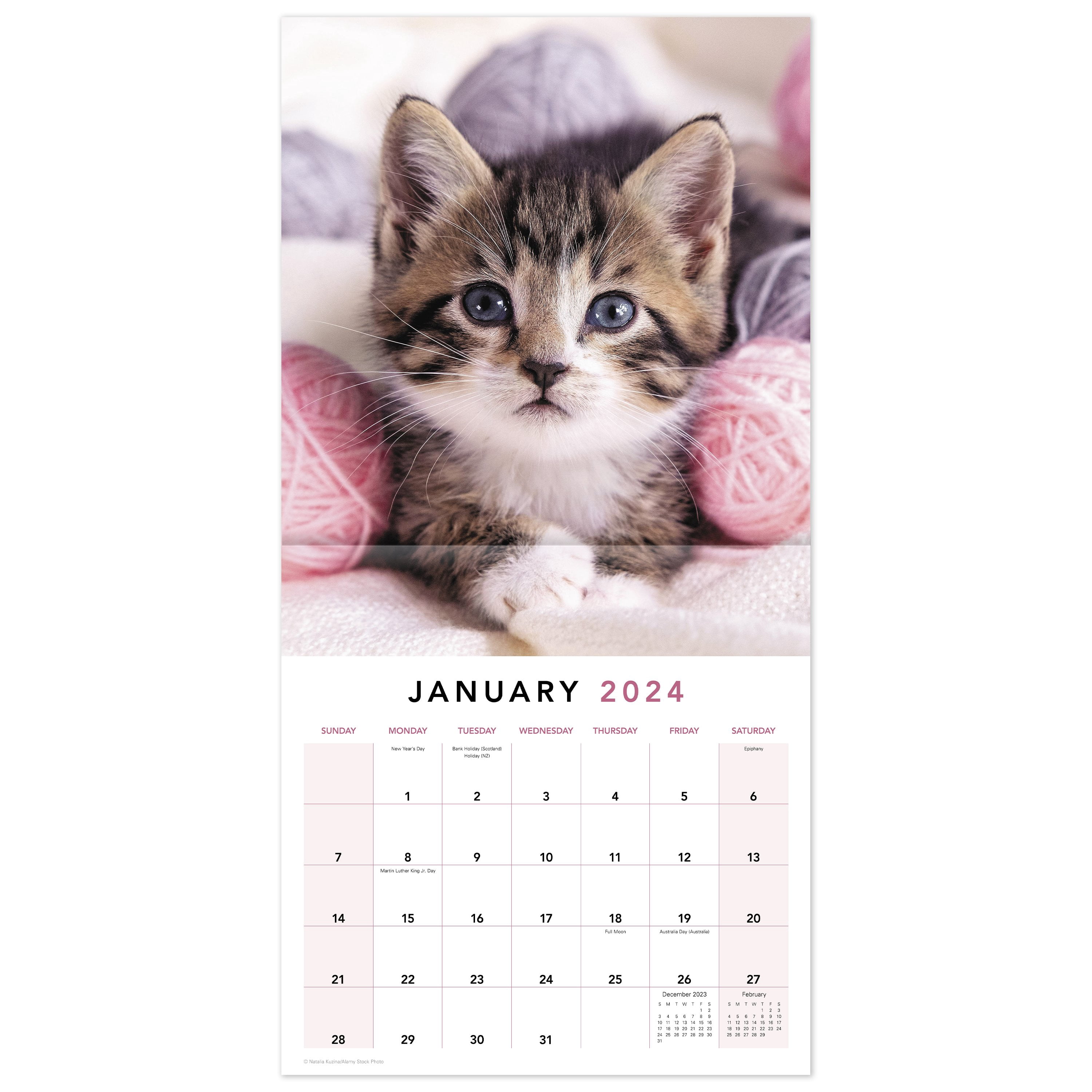 Mead Kittens Wall Calendar