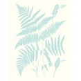 thumbnail image 2 of Vision Studio  26x32 White Modern Wood Framed Museum Art Print Titled - Serene Ferns I, 2 of 4