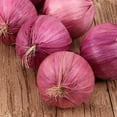 thumbnail image 5 of Artificial Garlic String, Simulation Fake Purple White Garlic Hanging String Lifelike Vegetables Fruit Photography Props Home Kitchen Harvest Decoration (White), 5 of 9