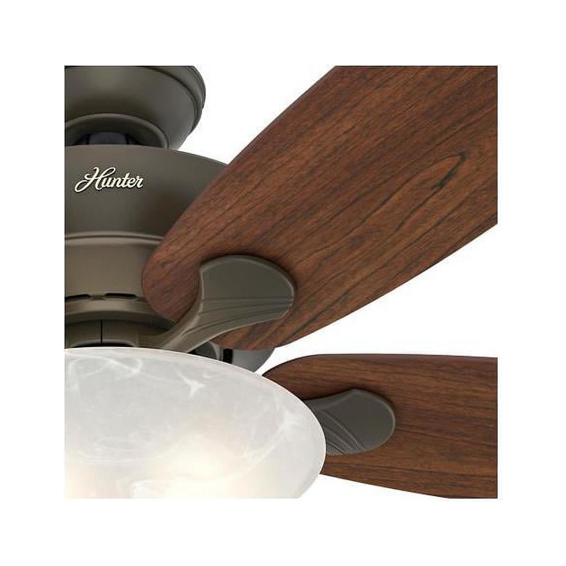 Hunter Regalia Ceiling Fan Light Kit Shelly Lighting