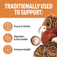 thumbnail image 2 of Force Factor Modern Mushrooms, Mushroom Supplement, Lion’s Mane, Cordyceps & Reishi for Energy Support, Focus, Digestion, Cinnamon Roll, 60 Soft Chews, 2 of 9