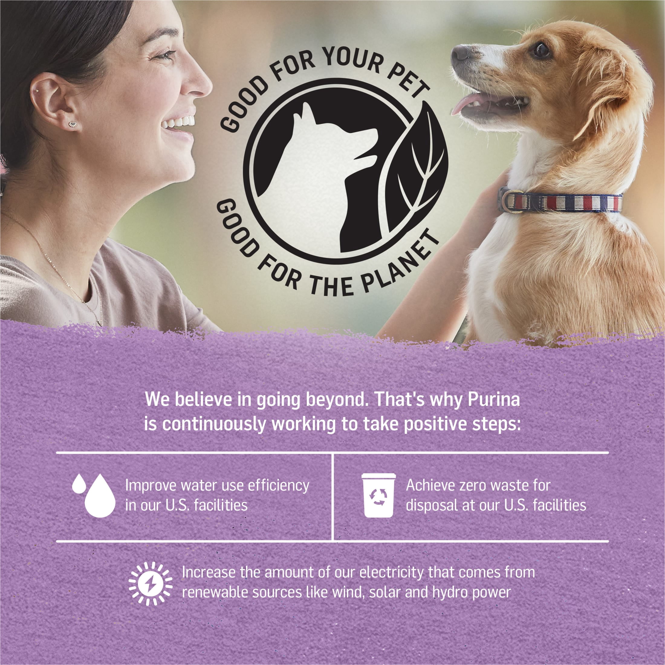 Purina Beyond Immune Health Wet Dog Food Natural Soft Turkey & Green Bean, 12.5 oz Can