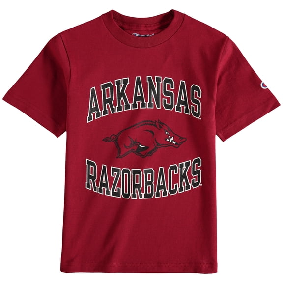 Youth Champion Cardinal Arkansas Razorbacks Circling Team Jersey T-Shirt