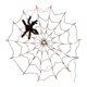 thumbnail image 2 of Cadena de luz de araña para fiesta de Halloween, cerca de árbol, pérgola de jardín, lámpara colgante de pared, dormitorio, sala de estar, Festival Batería Sunnimix luces decorativas de cadena, 2 of 8
