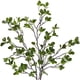 thumbnail image 4 of Matsuzay Plantas verdes encantadoras de 4 piezas para una decoración refrescante y natural Flores y plantas para la ingeniería de decoración Decoración, 4 of 6