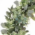 thumbnail image 2 of Puleo International 30 in. Artificial Eucalyptus Spring Wreath with Creeping Jenny Leaves, 2 of 5