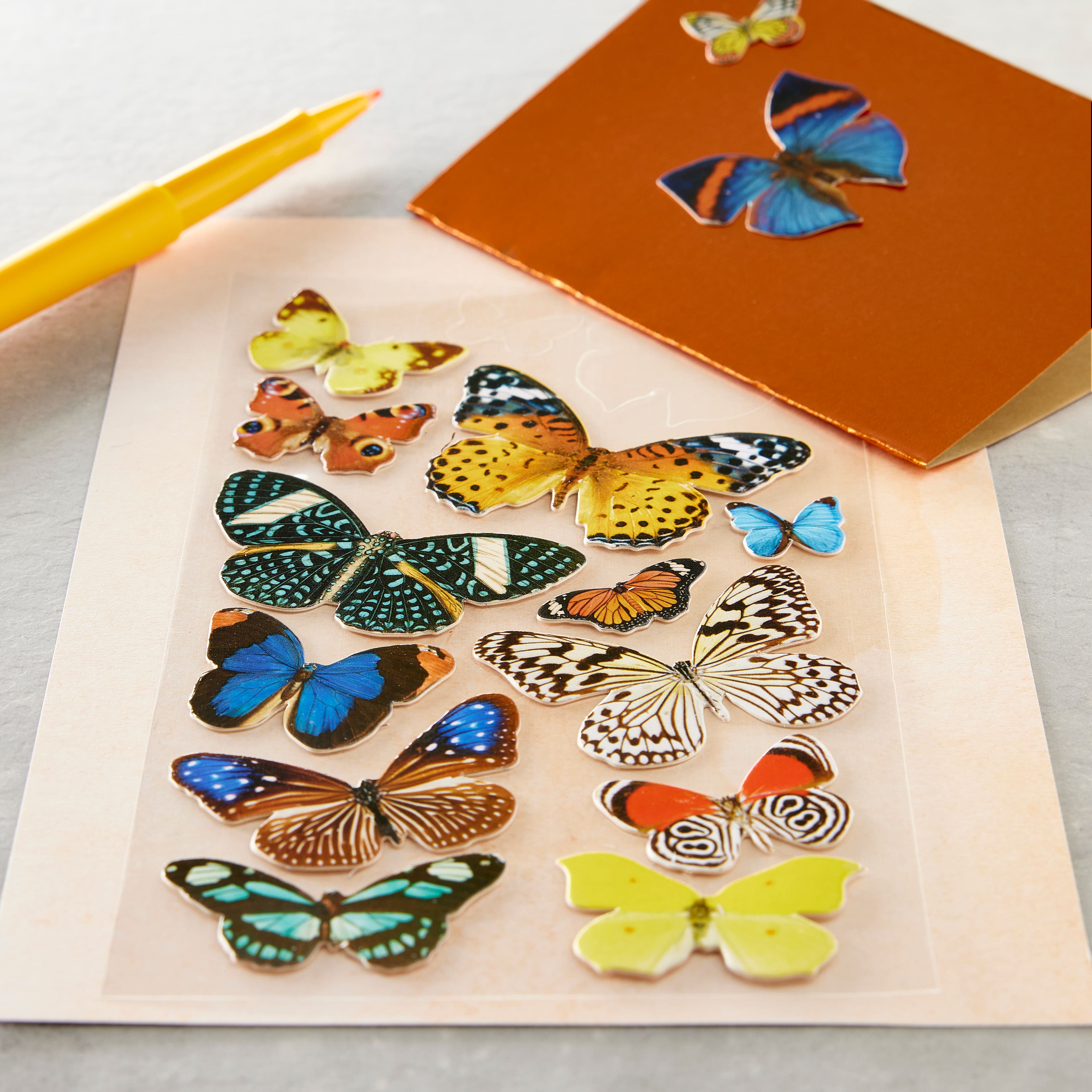 12 Pack: Butterfly Stickers by Recollections™