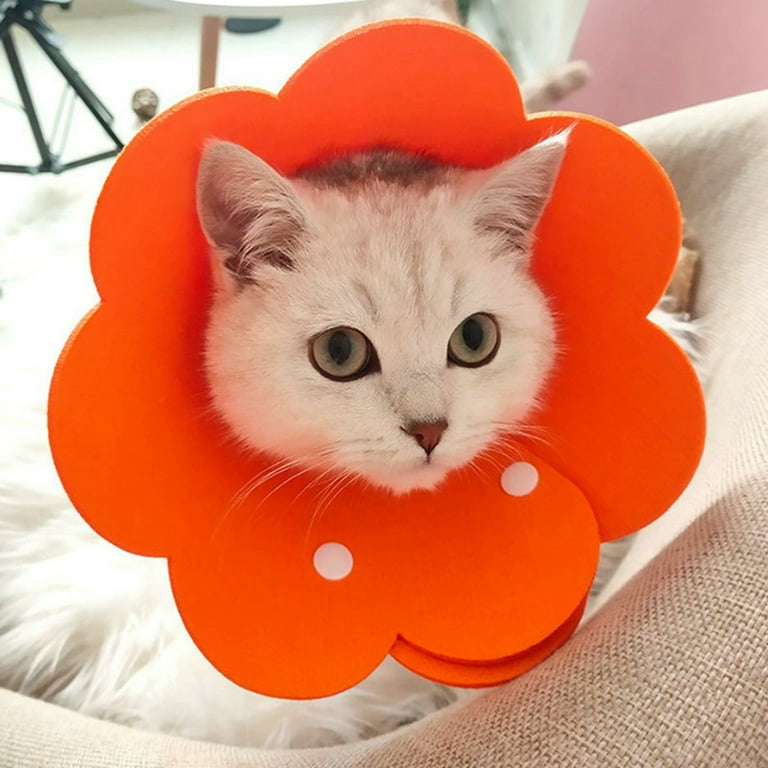 Dog Cone Collar Adjustable Cat Recovery Elizabeth Protective Collar For Pet After Surgery