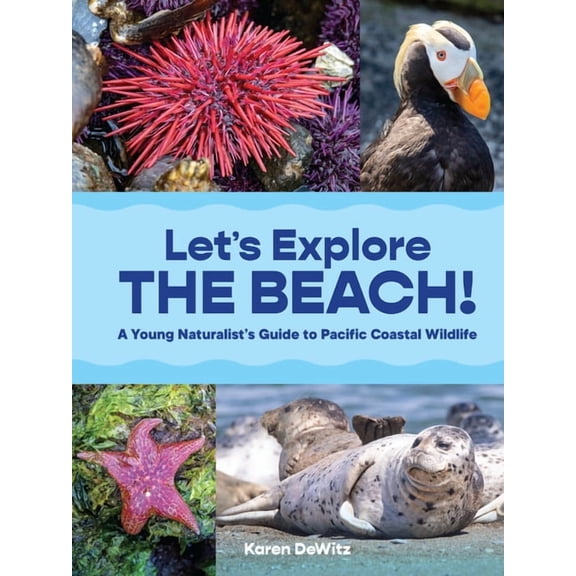 Let's Explore the Beach!: A Young Naturalist's Guide to Pacific Coastal Wildlife, (Paperback)