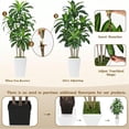 thumbnail image 4 of 6FT Artificial Dracaena Tree Fake Tree Indoor with White Tall Planter Tall Artificial Plants Indoor Artificial Silk Tree for Home Office Decor Housewarming Gift White, 4 of 7