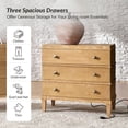 thumbnail image 3 of Tina's Home Transitional Solid Wood End Table with Charging Station & Spacious Storage Acorn, 3 of 7