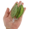 thumbnail image 2 of Camas para peces Betta de Unique Bargains, cama de hoja Betta, almohadilla de hamaca Betta con ventosa, lugar de descanso para peces Betta amarillo y verde, 2 of 7