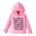 thumbnail image 1 of Gibobby Playera&nbsp;Moda Sudadera con capucha de manga larga con estampado de primavera y verano para niñas pequeñas y bebés （Rosa， 1-2 Años), 1 of 5