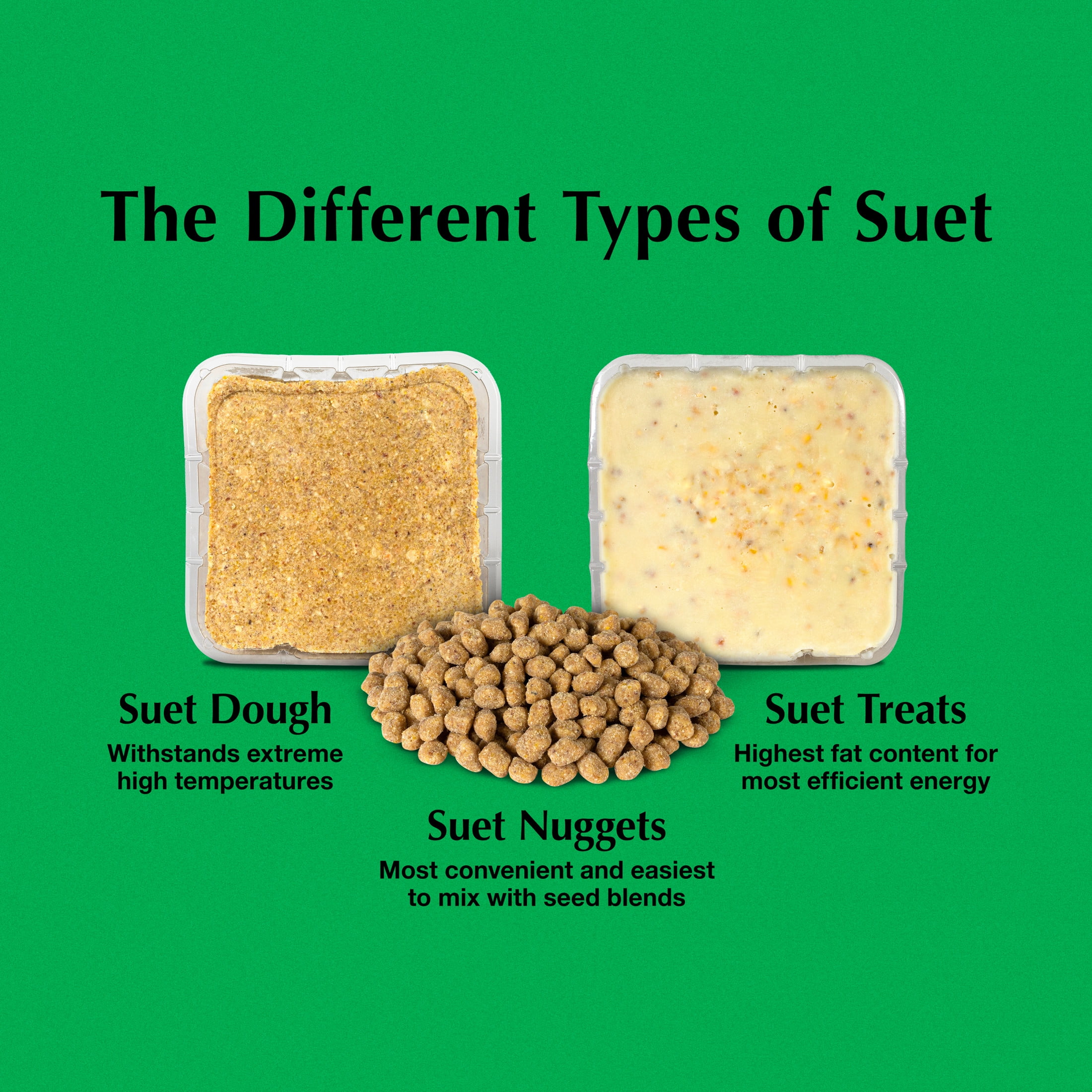 (2 pack) C&S Peanut Delight No Melt Suet Dough Log, Suet Dough for Wild Birds, 1 Pound, Pack of 8