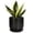 Black, variant on Ordivic 5 inch White Round Ceramic Plant Pot with Drainage Hole & Saucer, Minimalist Small Succulent Planter for Indoor Home Office Desk Decor
