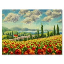 Designart ' Beautiful Landscape With Poppies Flowers By Riverside ' Traditional Canvas Wall Art Print