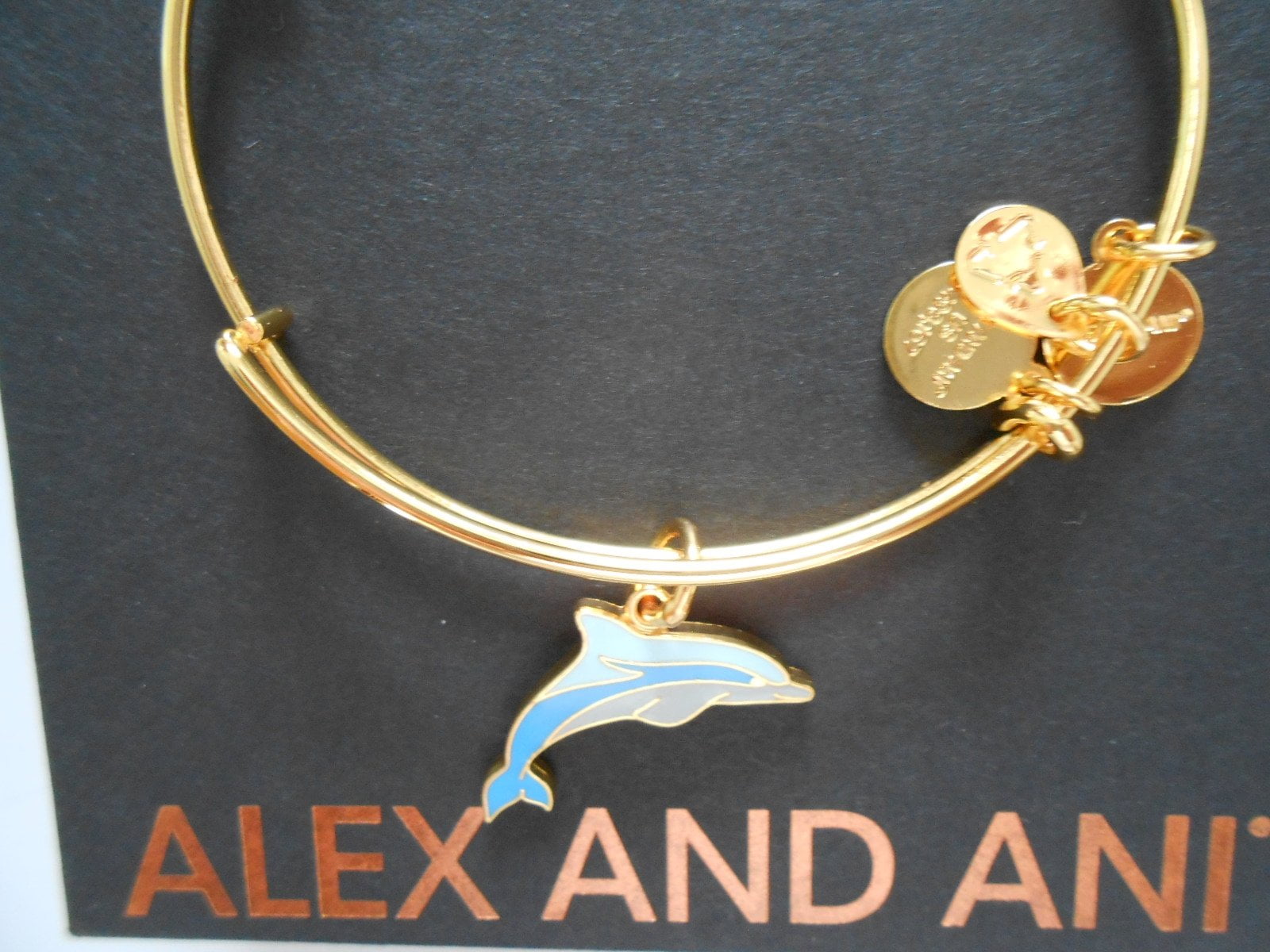 Alex and Ani Charity By Design Dolphin EWB Bangle Bracelet CBD17DFSG