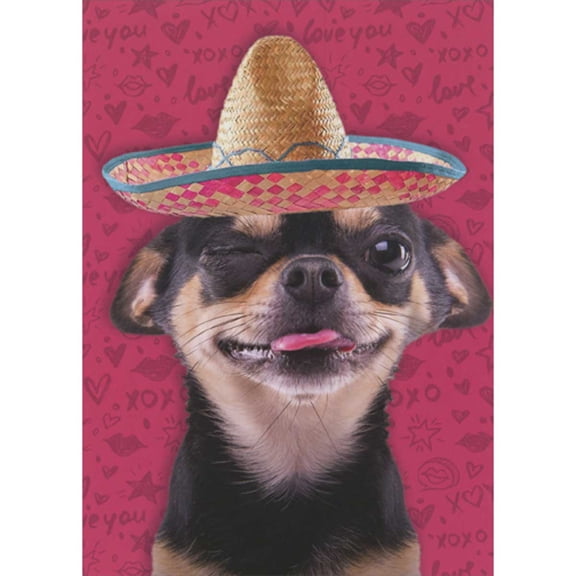 RSVP Chihuahua Wearing Tiny Sombrero Funny Valentine's Day Card