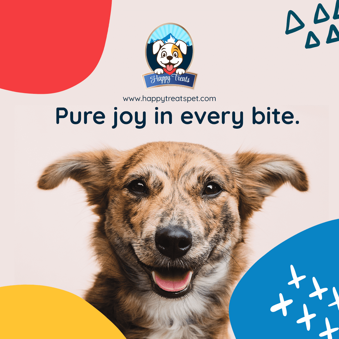 Happy Treats yak cheese dog chews, crafted from natural ingredients like yak and cow milk, are cherished by pet owners for their durability and minimal processing. (Large 3 Lbs)