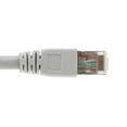 thumbnail image 3 of SF Cable Cat6A Shielded (STP) Ethernet Cable, 2 feet - Gray, 3 of 4