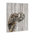 thumbnail image 2 of Stupell Industries Rustic Lodge Peeking Owl's Gaze Canvas Art, 16 x 20, by Patti Mann, 2 of 7