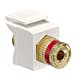thumbnail image 3 of CAPITOL SALES 40833-BTR Snap In Binding Post Light Almond With Red, 3 of 3
