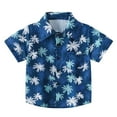 thumbnail image 1 of Hiiyo Boy Hawaii Beach Holiday Shirt Short Sleeved Tropical Print Button-Up Shirts, 1 of 6