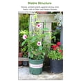 thumbnail image 4 of 1 pieza / 3 piezas / 5 piezas jardín enrejado soporte de plantas jaulas estacas para plantas trepado Abanopi TypeC/1 pieza, 4 of 7