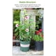 thumbnail image 4 of 1 pieza / 3 piezas / 5 piezas jardín enrejado soporte de plantas jaulas estacas para plantas trepado Abanopi TypeA/3 piezas, 4 of 7