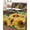 Brown, variant on Twin Quilt Bedding Set, Sunflower Reversible Summer Quilt 3 Pieces, Summer Botanical Yellow Floral Blue Striped Lightweight Bedspreads Coverlets with 2 Pillow Shams for All Seasons