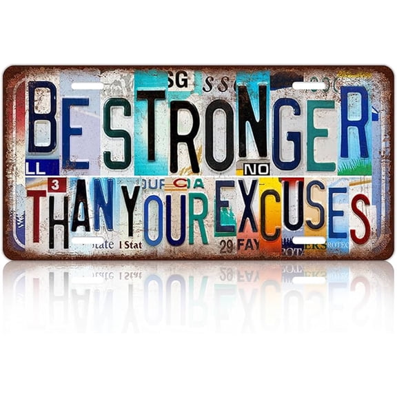 Vintage Wall Decor Still Plays With Cars License Plate Metal Sign Tin Signs Poster For Cat Lover