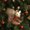 Brown, variant on Rvkxad Woven Squirrel Ornament, White Fiber Woodland Decorations, Cute Animal Christmas and Halloween Gifts for Family and Friends