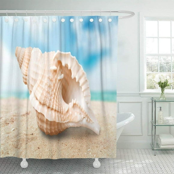 BOSDECO Shell White Starfish Sea 4407 Aquarium Assortment Beach Cockle Collection Fish Shower Curtain 66x72 inch