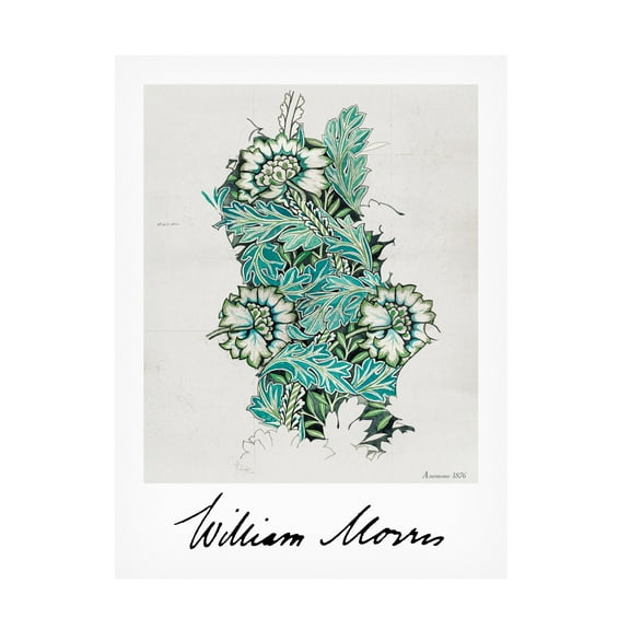 Canvas Wall Art - Pictufy 'Anemone' Wall Art for Living Room, Bedroom, or Office Décor by Trademark Fine Art - 14 x 19 Inches