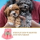 thumbnail image 4 of Suéter para perro, ropa para mascotas, ropa para cachorros, monos para perros pequeños, trajes para perros, ropa abrigada para mascotas, 4 of 7