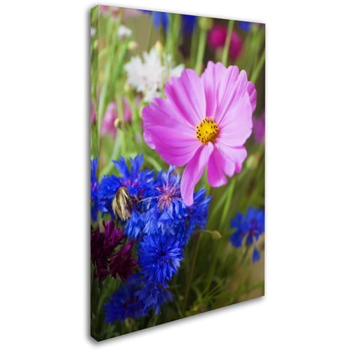 Trademark Fine Art "Cosmo" Canvas Art by Philippe Sainte-Laudy